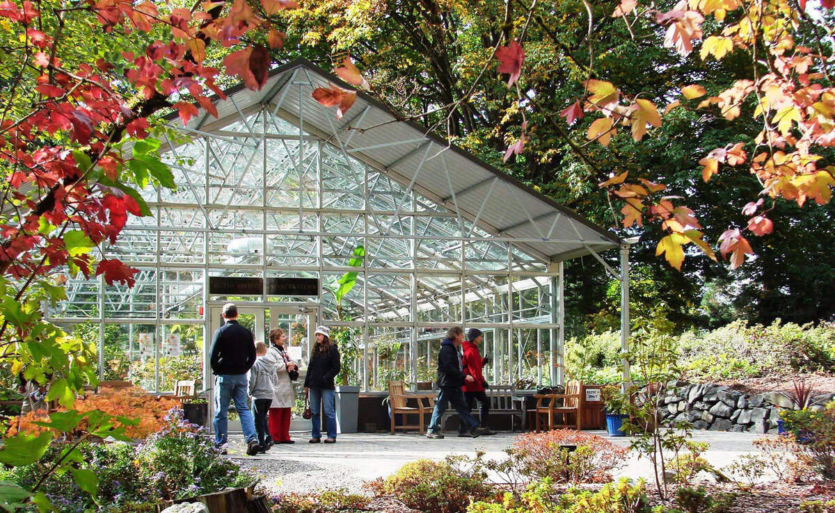 Fall foliage at the Rhododendron Species Botanical Garden in Federal Way.