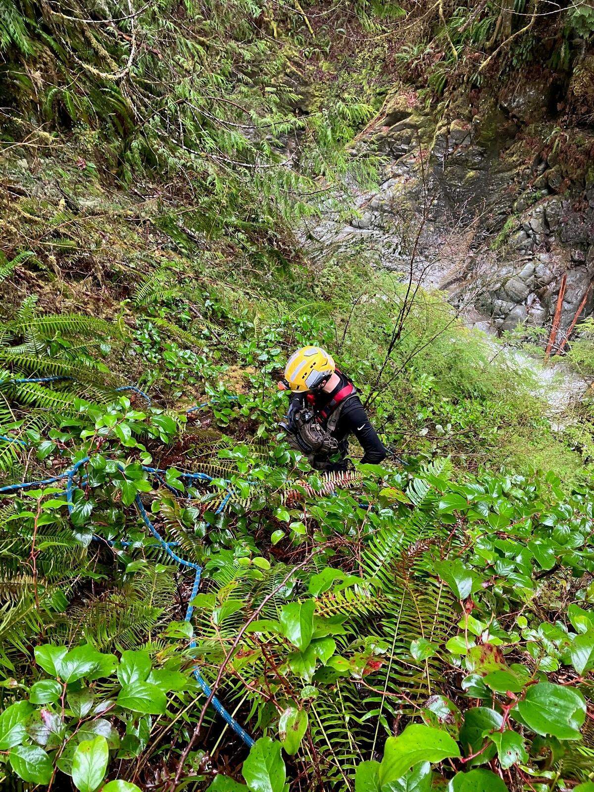 Recovery operations have begun after a woman fell into the Carbon River underneath the Fairfax Bridge on March 23, 2025.