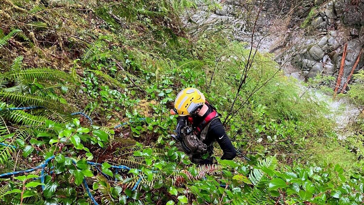 Recovery operations have begun after a woman fell into the Carbon River underneath the Fairfax Bridge on March 23, 2025.