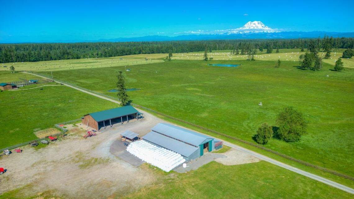 Ready to cowboy up? Local cattle ranch goes on market for $8.8 million, cows included