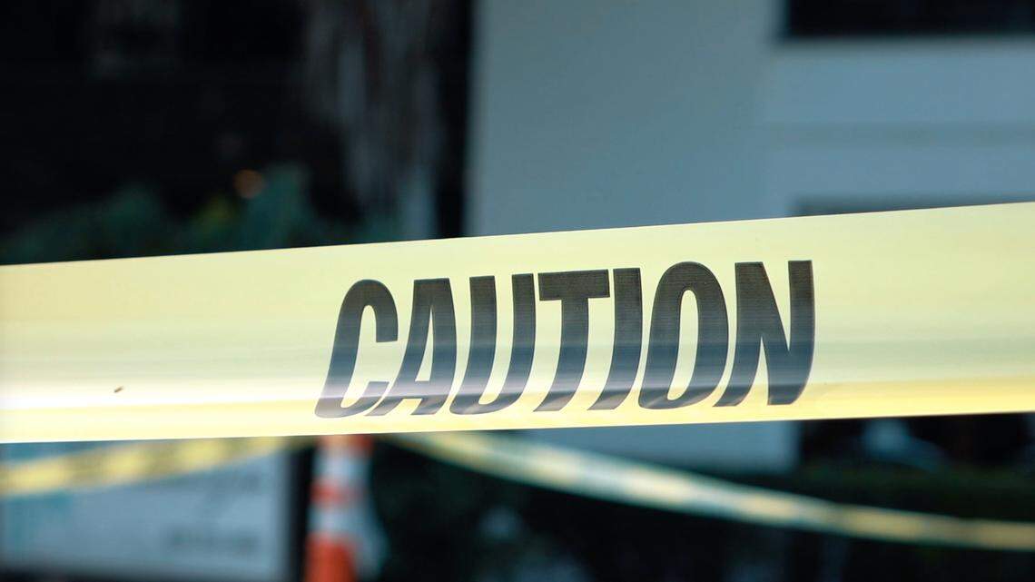 A woman was arrested in Gladstone, Oregon, on Nov. 22, 2021, during a traffic stop when police saw she had a warrant out for her arrest in Texas, prosecutors say. She asked police to check on her dogs before getting booked but escaped and shot one officer, officials said.