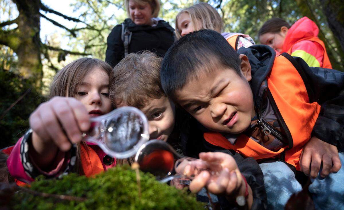 Transitional kindergarten students from Voyager Elementary (from left) Chloe Johnson, Ezra Croft and Joey Tian take a close-up look at a mushroom as they take a nature walk through Kopachuck State Park in Gig Harbor, Washington, on Tuesday, Jan. 10, 2023.
