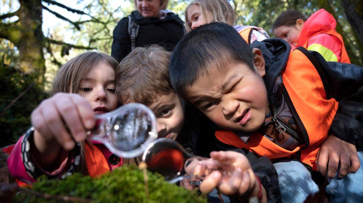 Transitional kindergarten students from Voyager Elementary (from left) Chloe Johnson, Ezra Croft and Joey Tian take a close-up look at a mushroom as they take a nature walk through Kopachuck State Park in Gig Harbor, Washington, on Tuesday, Jan. 10, 2023.