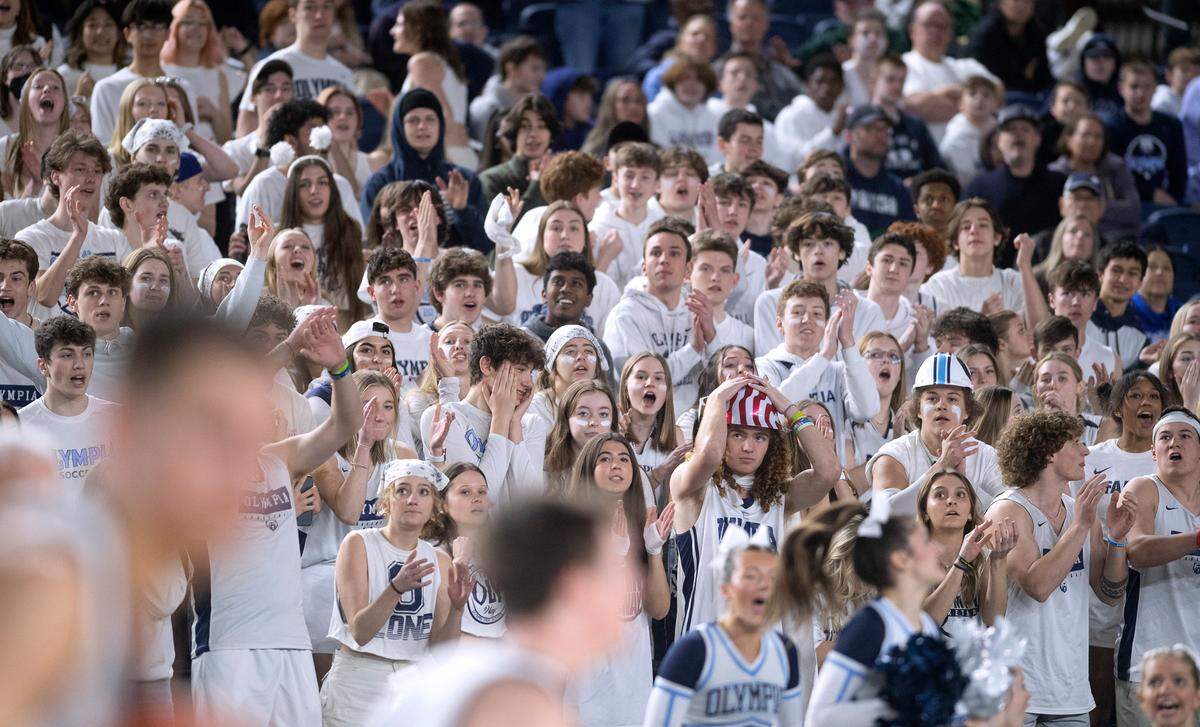 Olympia students cheer on the Bears during their state quarterfinal game against the Gonzaga Prep Bullpups at the WIAA state basketball tournament in the Tacoma Dome in Tacoma, Washington, on Wednesday, March 1, 2023. Olympia won the game, 51-47.