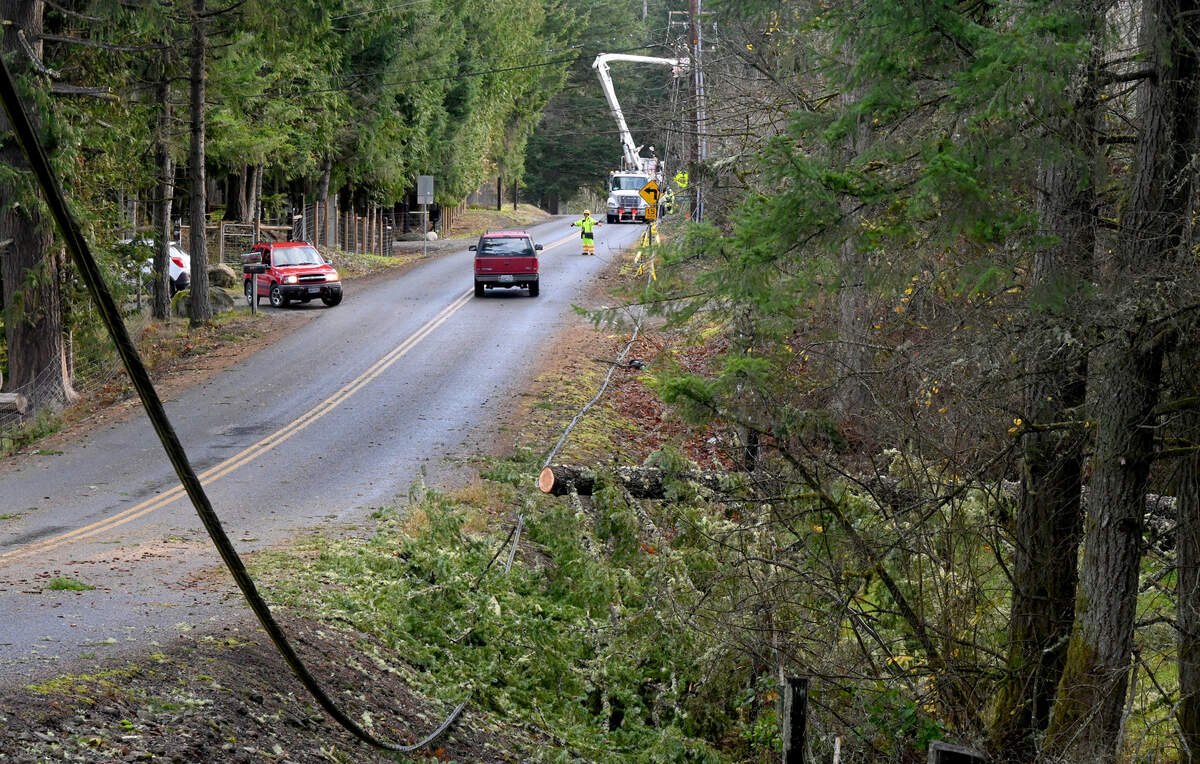Workers from Puget Sound Energy redirect traffic as they try to restore lights along 336th St. S near McKenna, Wash. on Wednesday Nov.20, 2024