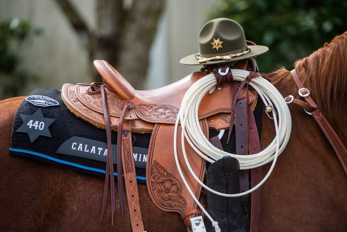 A mounted patrol horse passes by with Deputy Dominique Calata’s name displayed on its saddle cloth, as part of the procession in honor of Deputy Calata outside of the Church for All Nations in Tacoma, Wash. on Friday, March 25, 2022. Deputy Calata was killed in the line of duty during a SWAT operation on March 15, 2022.