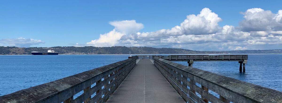 Dash Point Pier will be closed to the public as it undergoes a structural assessment.