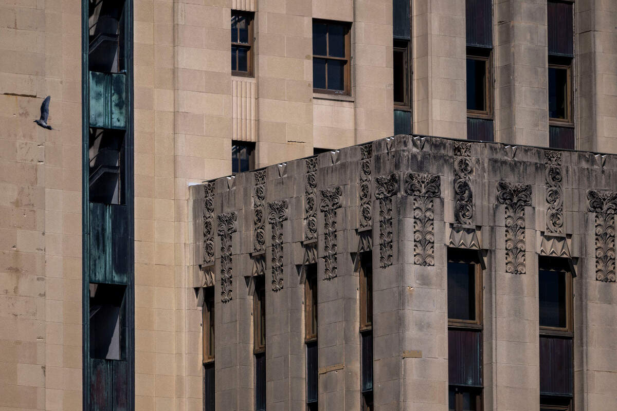 A bird flies along the south end of the Tacoma Municipal Building on Wednesday, Aug. 14, 2024.
