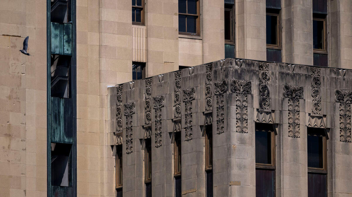 I bird flies along the south end of Tacoma City Hall on Wednesday, Aug. 14, 2024, in Tacoma, Wash.