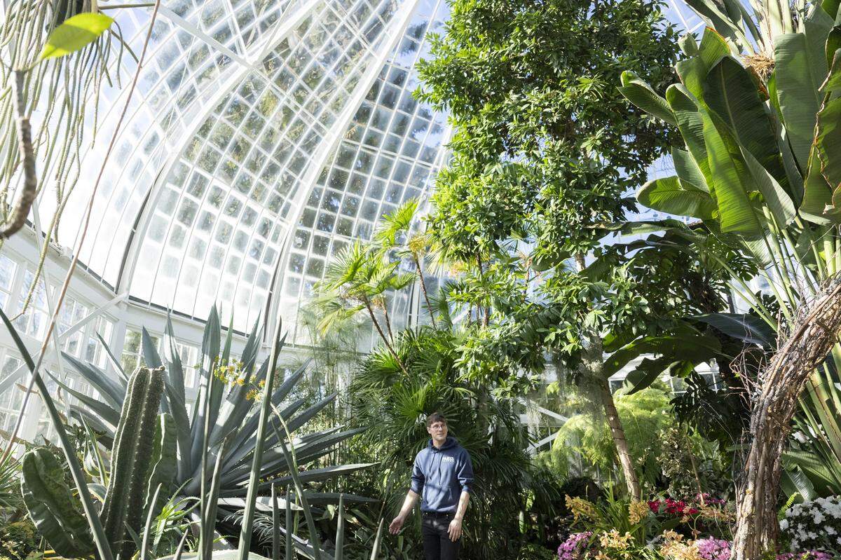 Horticultural specialist Joseph Gabbamonte walks through the W.W. Seymour Botanical Conservatory with The News Tribune on Tuesday, Feb. 10, 2026, in Tacoma, Wash.