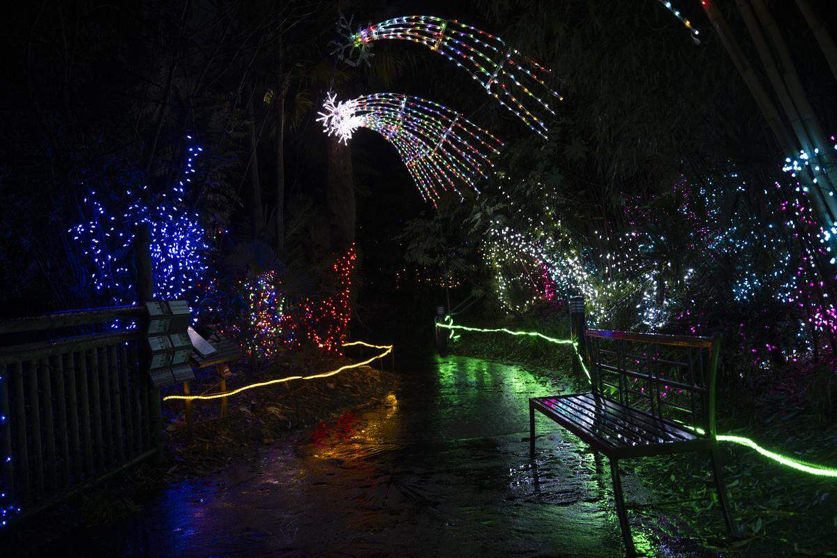 Christmas lights and decoration glitters in the dark at the annual Zoolights at Point Defiance Zoo & Aquarium on Tuesday, Nov. 25, 2025 in Tacoma, Wash.