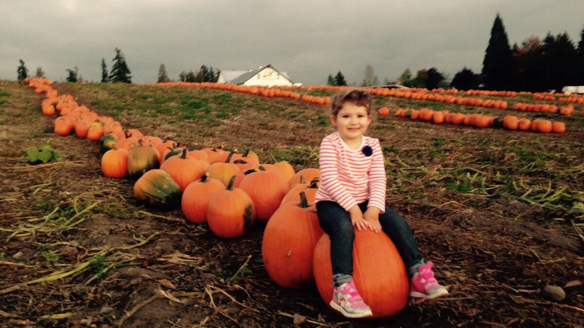 Maris Farms of Buckley is well known for its pumpkin patch, corn maze and other family attractions. Its owner will be honored this month at the UWT Milgard Business Leadership Awards dinner in Tacoma.