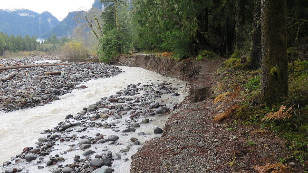 Mount Rainier National Park reopened access to the Carbon River area. It has been closed since Nov. 15, 2021.