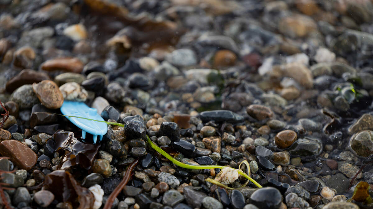 Waves lap at a tiny plastic surf board as tempatures rise, at Owen Beach, on Friday, June 7, 2024, in Tacoma, Wash.