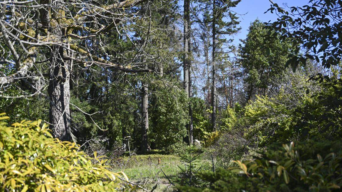 Will vacant Gig Harbor lots become affordable housing? Here’s where things stand