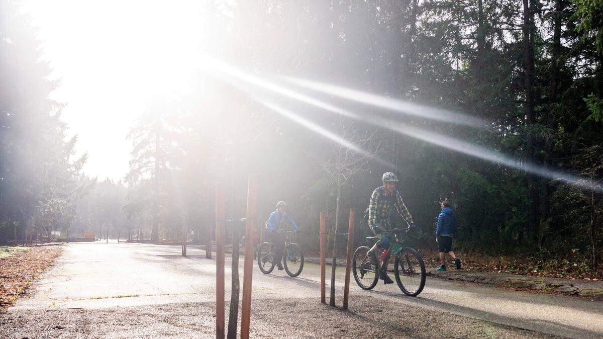 Cyclists pedal past a pedestrian as they enjoy the Friday afternoon sunshine in the newly renovated Swan Lake Park in Tacoma. The park offers a number of paved walkways, mountain biking trails and spacious off-leash dog areas.