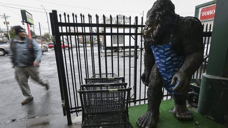 Bigfoots still roam Pierce County, people say. Where have they been spotted?