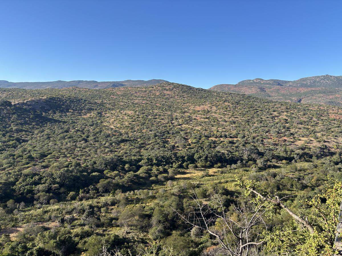 Sheriff Keith Swank’s May 26, 2025 photo from a 17-day excursion to South Africa he described as a sightseeing and safari trip.