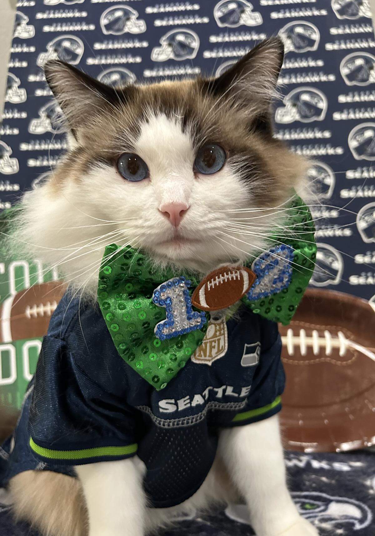 Clam Chowder, who enjoys playing fetch like a dog, was named The News Tribune’s cutest pet Seahawks fan in 2026.