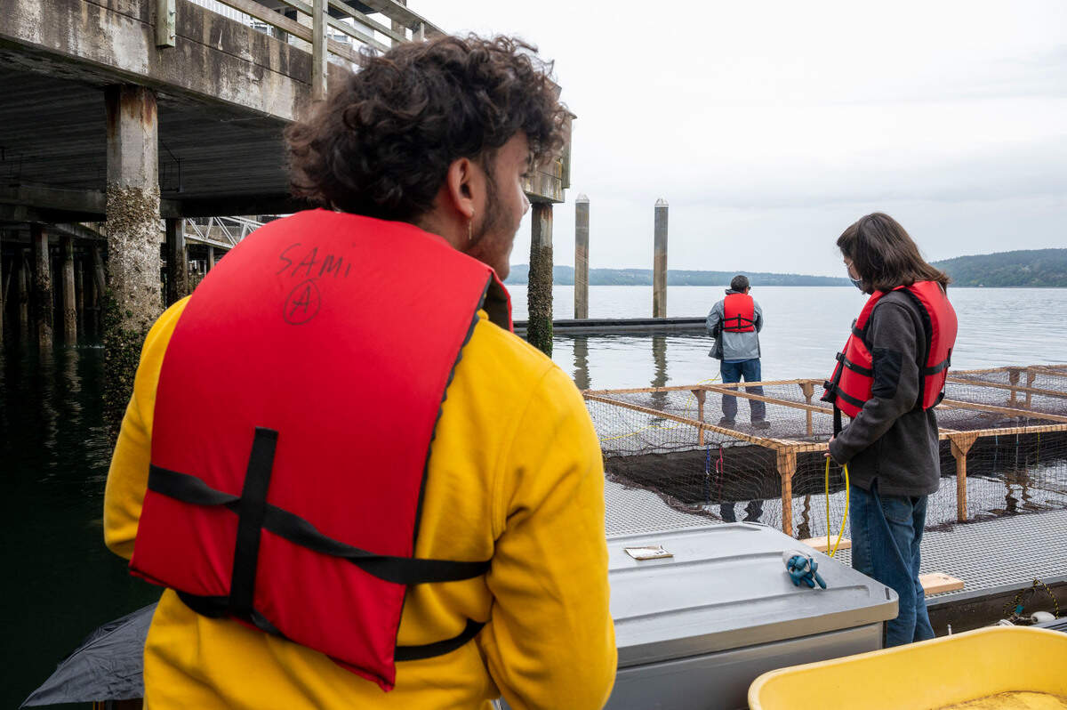Science and Math Institute student Herminio Cabiya (left), 18, controls an underwater robot as his teacher Alexis Beard, STEM robotics instructor, helps give instructions as Cabiya controls the unit and takes underwater video of a fish pen at Point Defiance Marina on Thursday, May 26, 2022, in Tacoma.