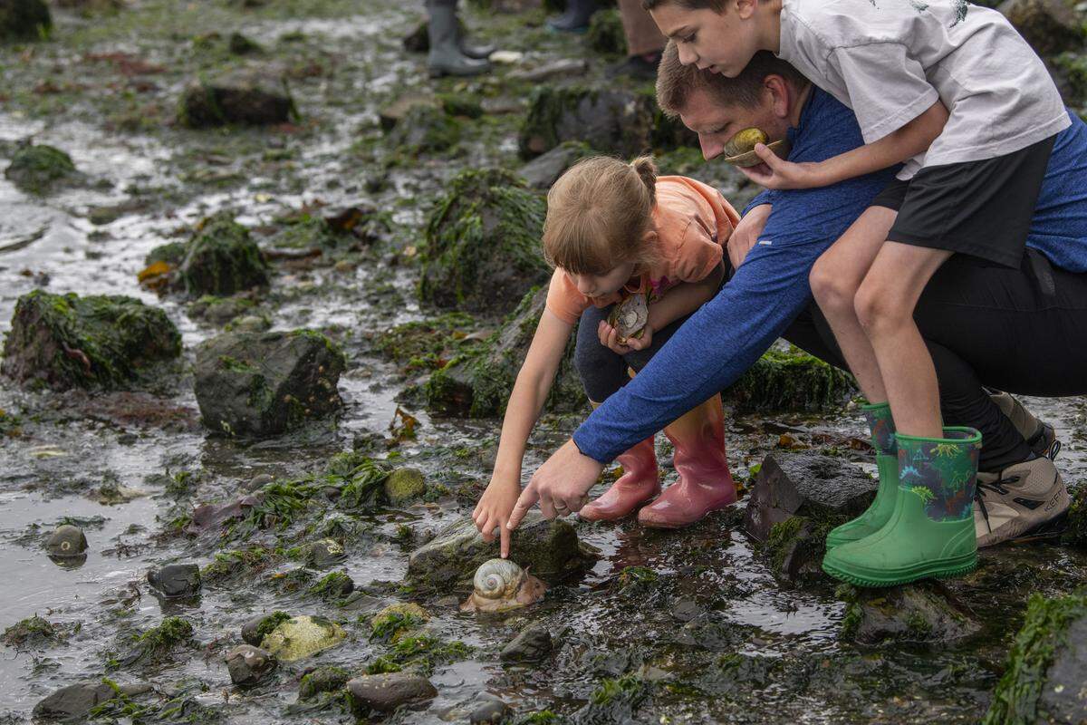 Tide pool discovery. 