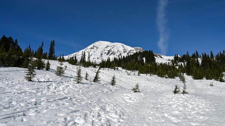 Mount Rainier NP releases details about death, injuries during rockfall incident