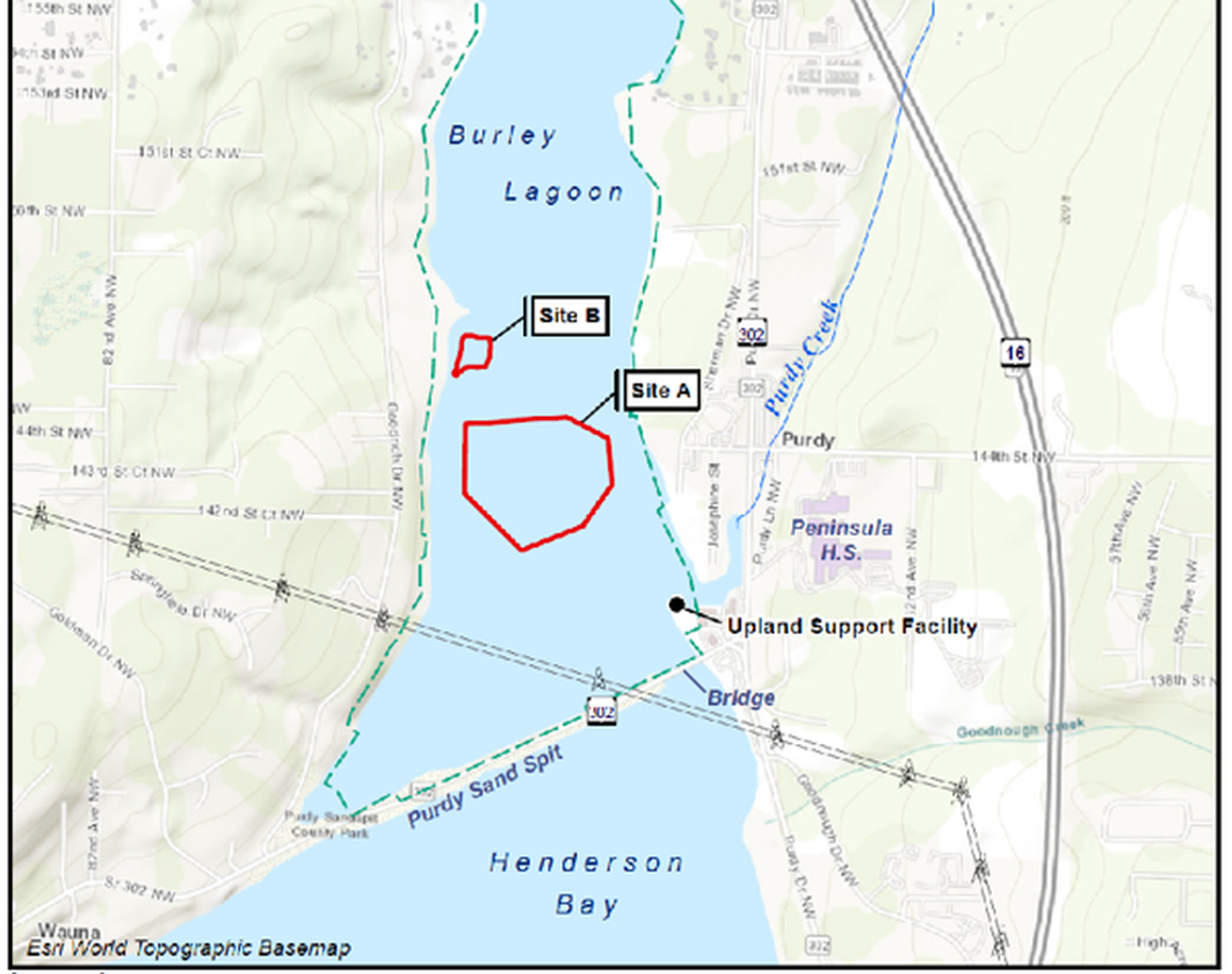 A map prepared for the Environmental Impact Statement shows the location of the proposed Taylor Shellfish geoduck beds.
