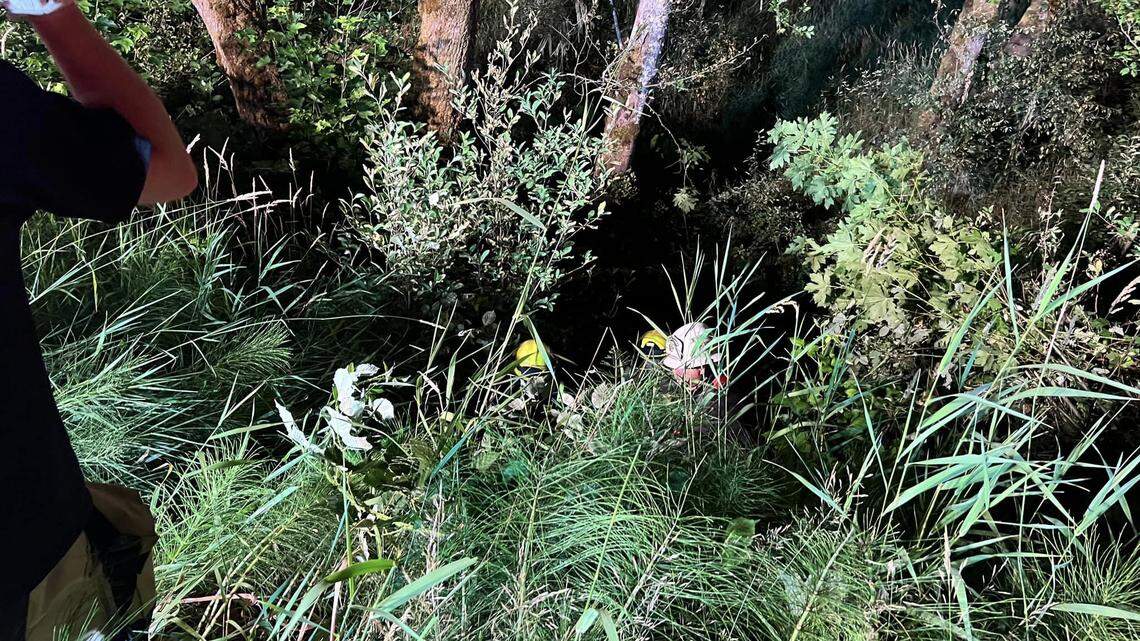 A driver crashed 30 feet off an embankment on July 28 in Vernonia, Oregon. Her iPhone Crash Detection and screams for help helped lead rescuers to her.