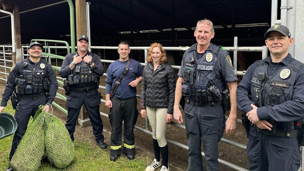 A family driving their horses to a farm in Yelm had to stop in Puyallup on Saturday after one of their three animals, Atlas, injured his leg in the trailer. His two friends, Boris and Kenney, were taken to Washington State Fair while Atlas went to a large-animal hospital for treatment. He is expected to recover.