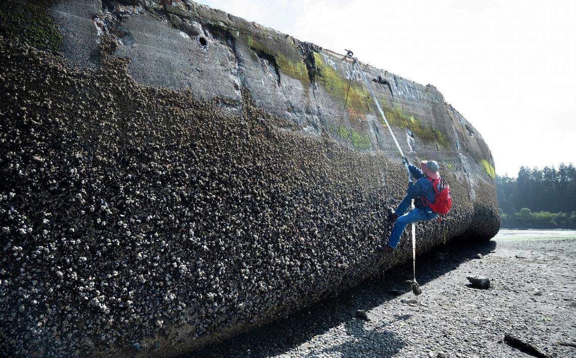 Kaz Griffin of Tacoma climbs aboard The Cement Ship, the remains of a scuttled concrete barge on the beach in DuPont, Washington, on Wednesday, June 5, 2024.