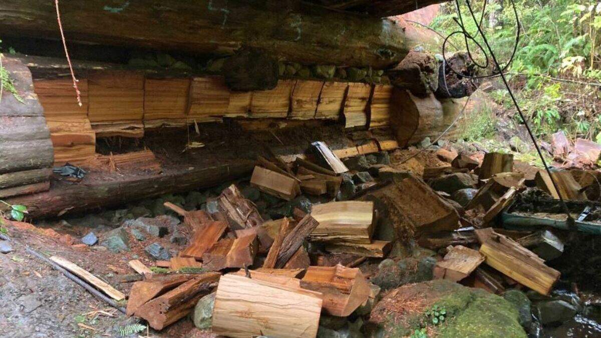 Two men were recently arrested for allegedly using a chainsaw to cut up and steal wood from this state Department of Natural Resources bridge in Jefferson County on Washington’s Olympic Peninsula.