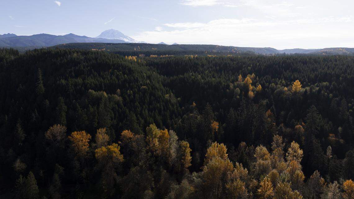 New Pierce Co. park with trails and campsites will be 139 acres. $950,000 raised