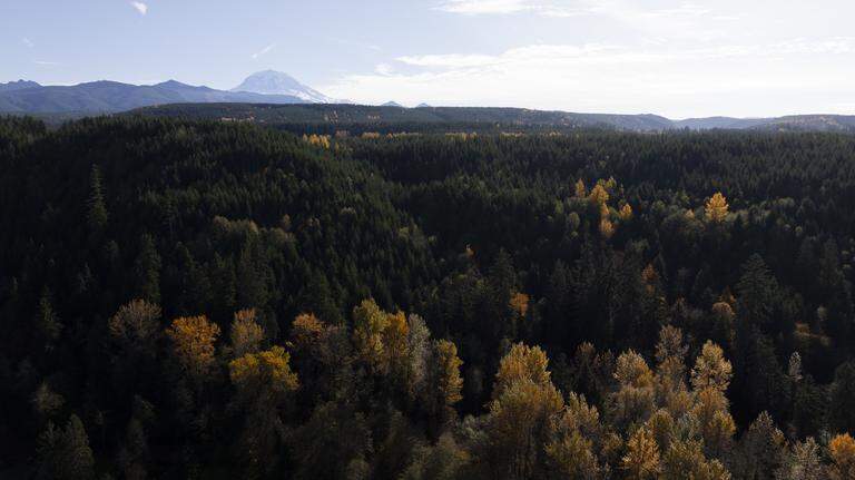 New Pierce Co. park with trails and campsites will be 139 acres. $950,000 raised