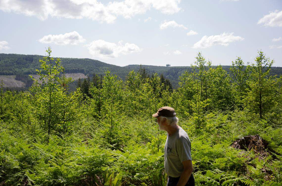 Kent Cartwright, who lives on the far side of the now-closed Fairfax Bridge and must take rough forestry roads to reach town, walks the property, on Monday, June 2, 2025, in Carbonado, Wash.