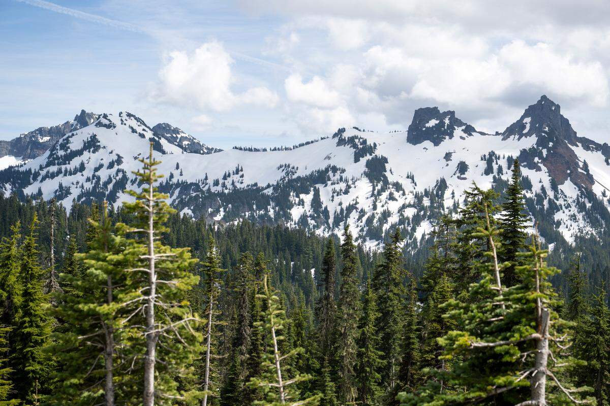 A ridge in the distance features peaks and glaciers from the viewpoint of the Nisqually Vista Trail on Friday, June 6, 2025, at Mount Rainier National Park.
