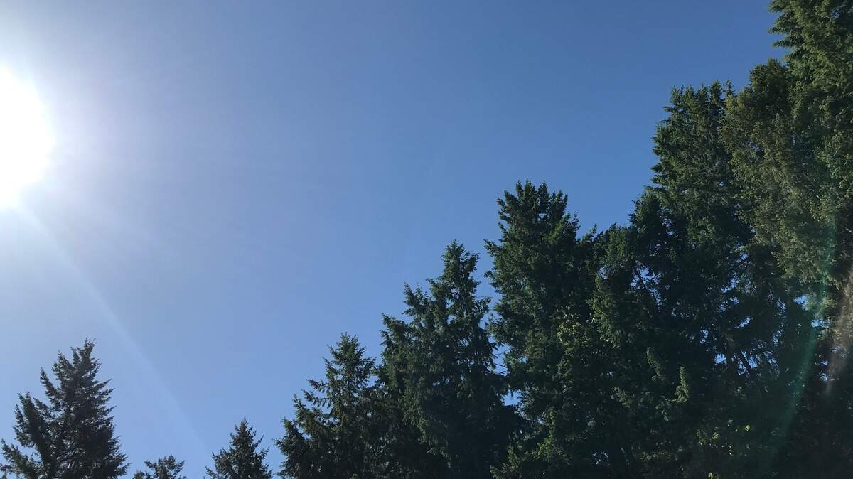 Blue-sky day seen Saturday in Key Peninsula. Cool mornings are forecast in the coming days, as temperatures will hit mid 80s by Wednesday.