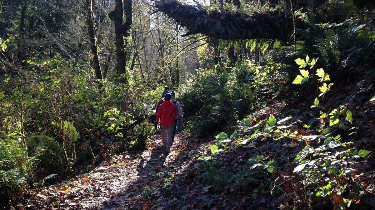 Hikers explore Metro Parks Tacoma's Swan Creek Trail in November 2014.
