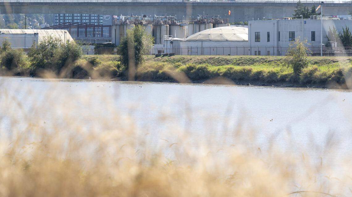 Local restaurant ensnared in grease-trap gauntlet as Tacoma, Fife point fingers