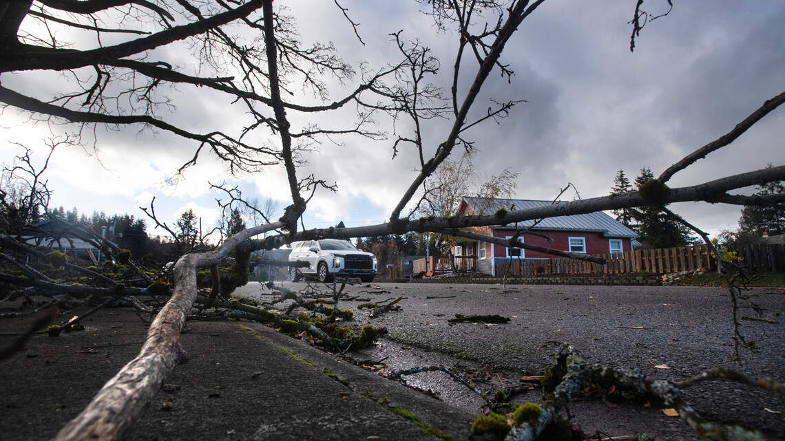 Tacoma, Pierce County dodge worst of bomb cyclone damage thanks to this looming giant