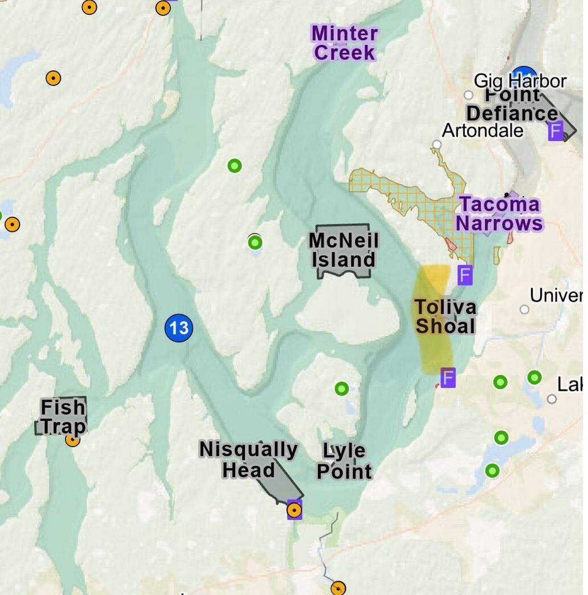 Salmon fishing has been banned temporarily in southern Puget Sound’s Marine Area 13 as the state waits for the federal government to complete its review of Puget Sound salmon fisheries.