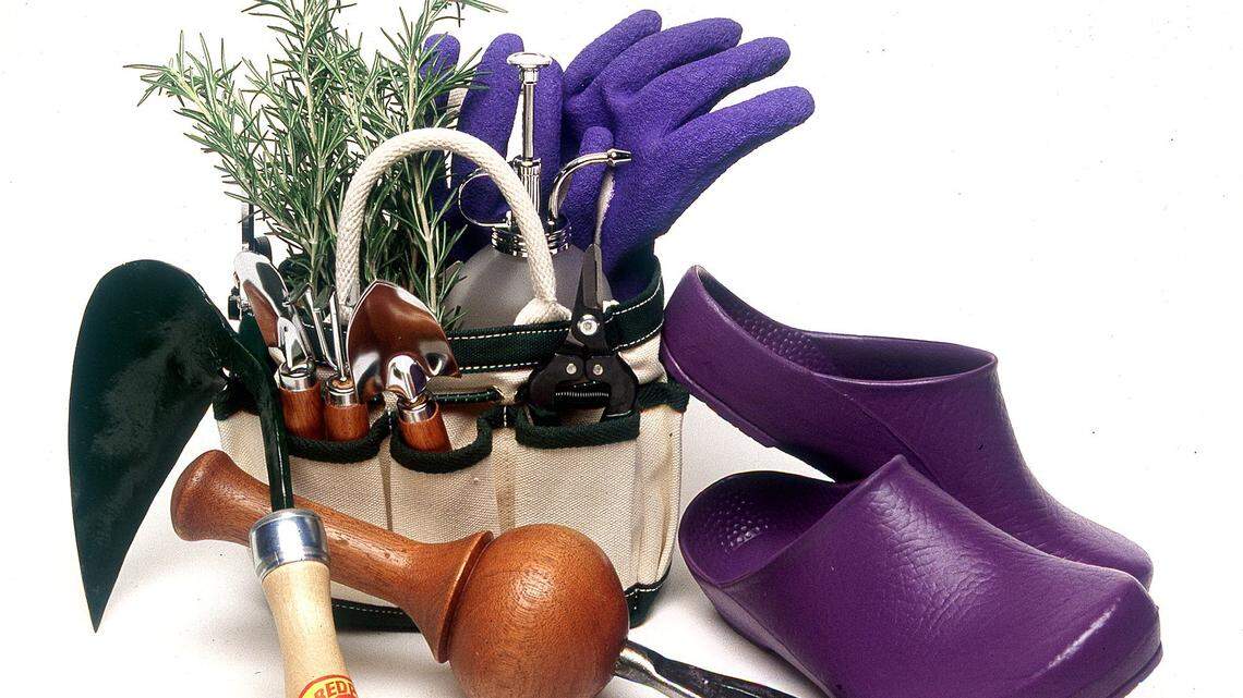 What do gardeners want under the tree? This poem will give you some ideas