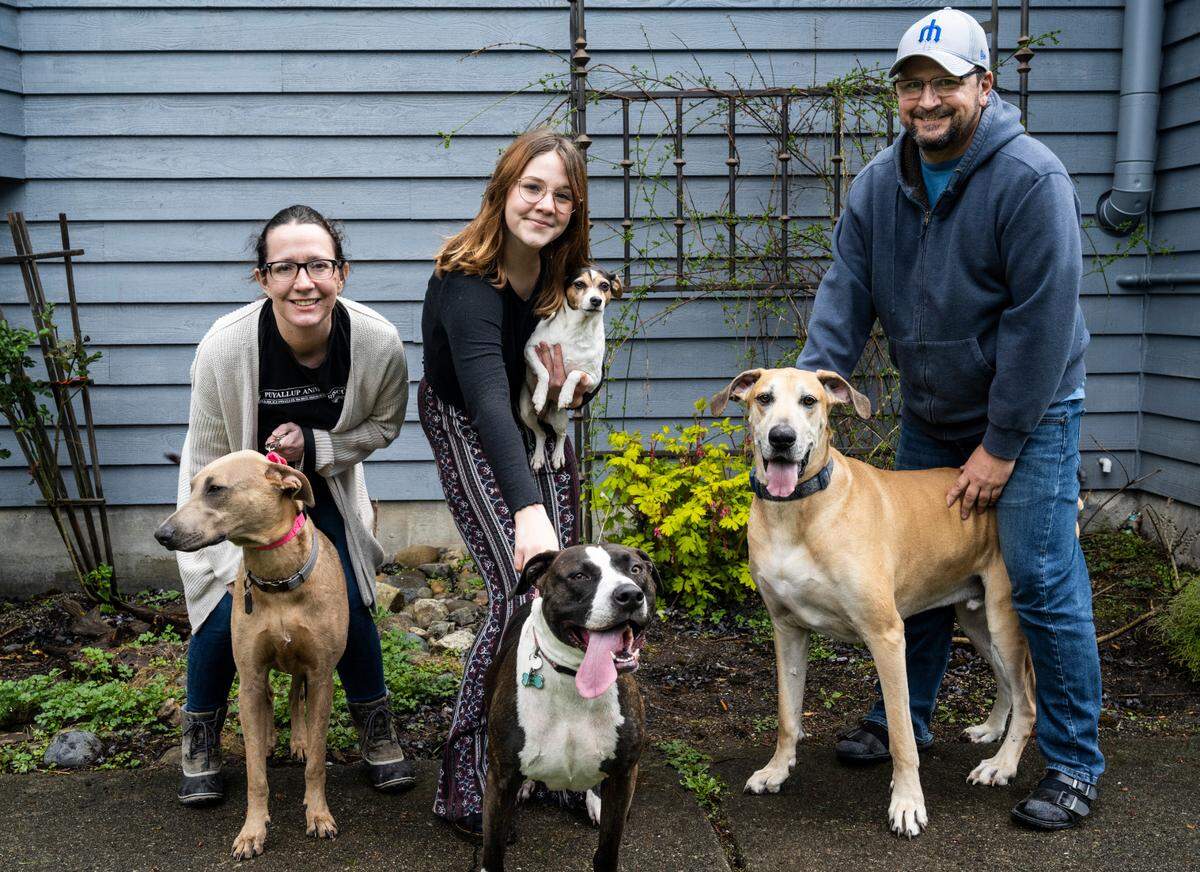 Mandy Walker, left, her daughter, Jaelyn, center, and her husband, Jared, right, pose for a portrait with their dogs Miles, Josie, Jessie and Lila, left, who is a foster at their home on Monday, April 4, 2022 in Puyallup, Wash. The family has fostered over 300 animals in the past five years for the Puyallup Animal Rescue.