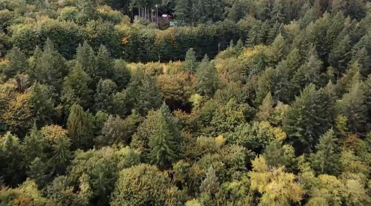 Gig Harbor has entered into a purchase sale agreement to preserve 23 acres of undeveloped land that Mayor Kit Kuhn said the owners will otherwise develop into more than 40 homes.