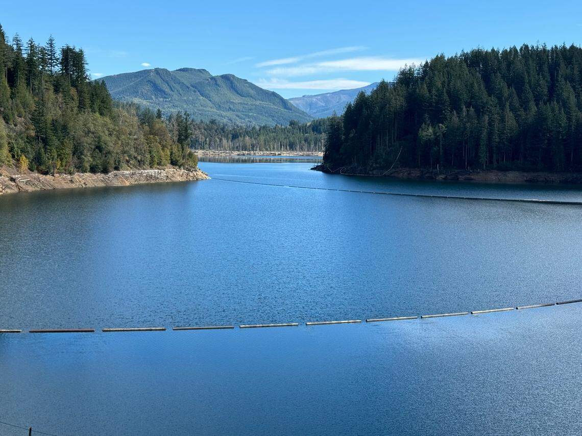 Watershed inspectors keep water supply safe News Tribune