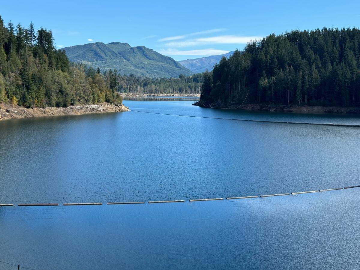 The Howard Hanson Dam in the Green River watershed was built primarily for flood control. It also provides water for Tacoma and other municipalities.