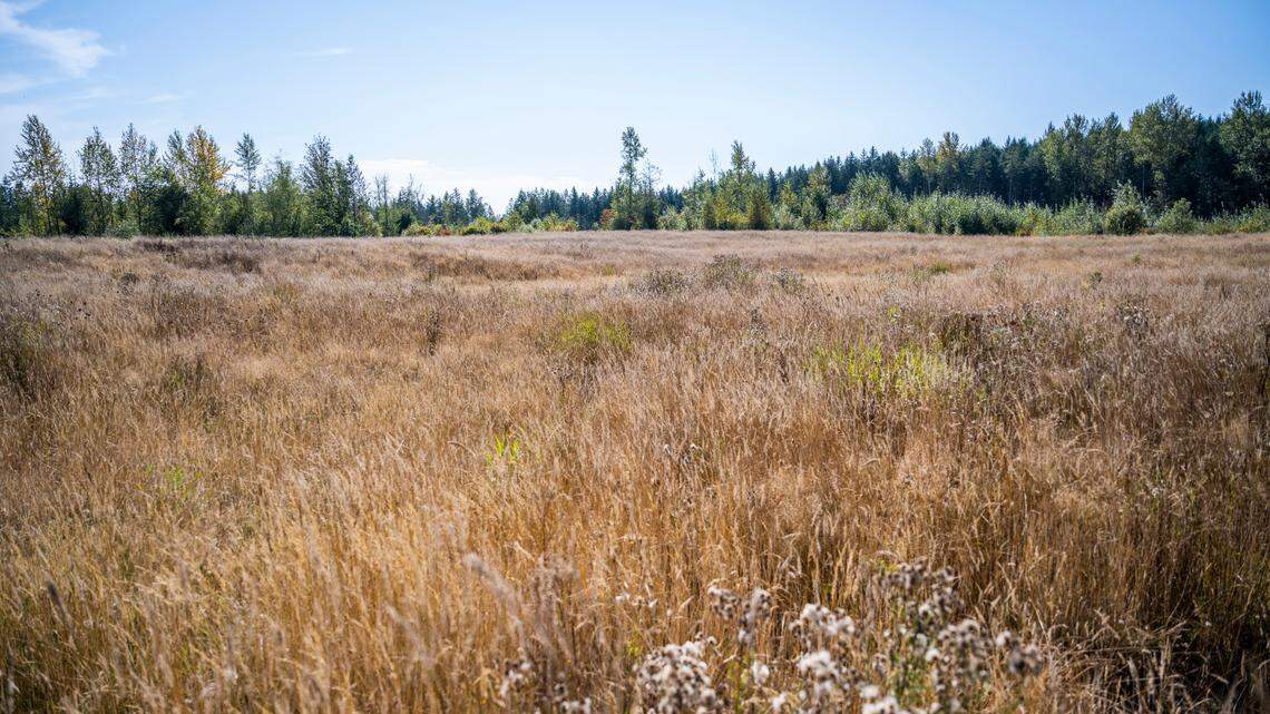 Thurston and Pierce counties become focus of search for new 2-runway airport site