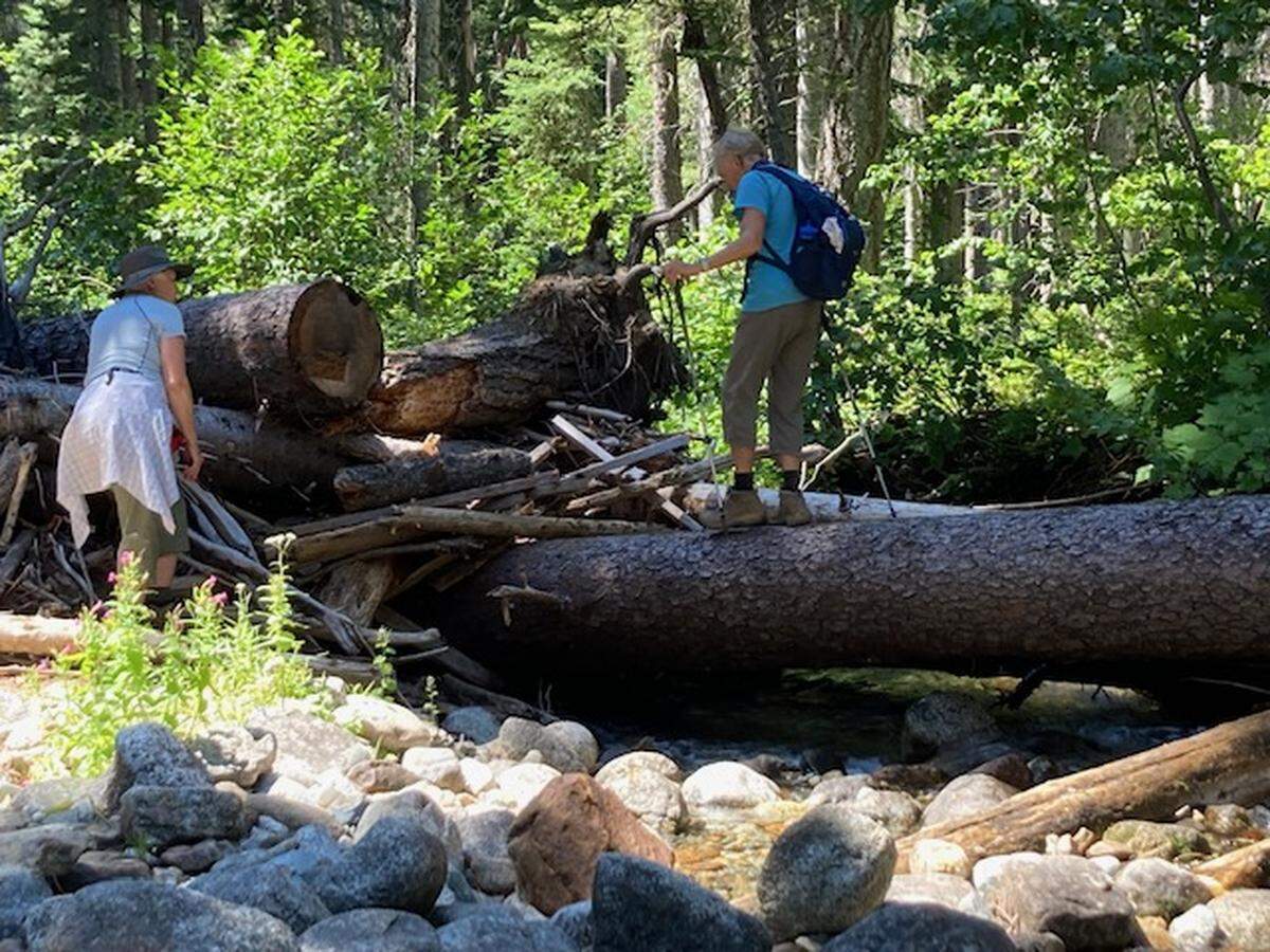 A group of men and women from across the state just returned from an seven-day backpacking trip in the Cascades. Dave Pine, 88 from Gig Harbor, was one of the oldest.