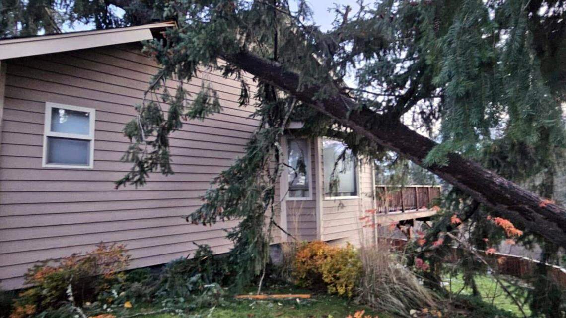 In this picture taken on the morning of Wednesday, Nov. 20, a large tree fell onto a home on Center Street in Eatonville, Wash. Strong winds tore through the area on Tuesday night caused by bomb cyclone off the coast of Washington.