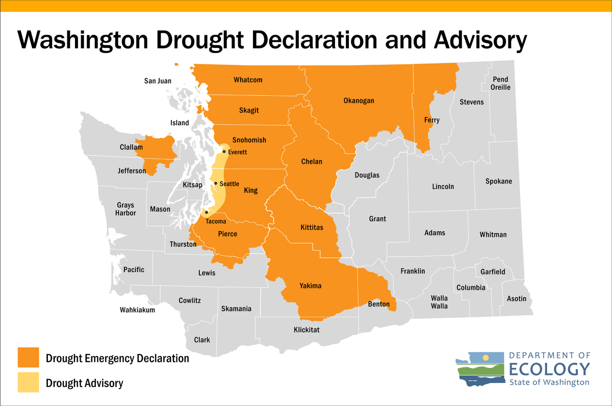 On June 5, the Washington State Department of Ecology declared a drought emergency affecting multiple counties in Western Washington, although the metropolitan areas of Tacoma, Seattle and Everett were left under the existing advisory.