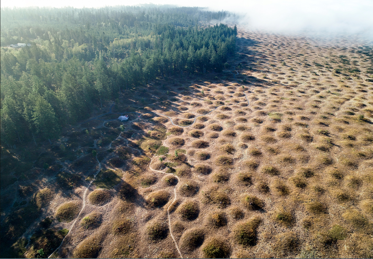 Mima Mounds are one of Washington’s enduring geologic mysteries.